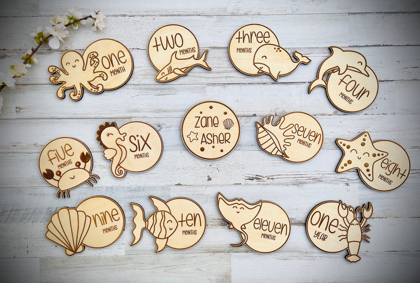 Laser engraved wooden baby milestone monthly discs + name disc