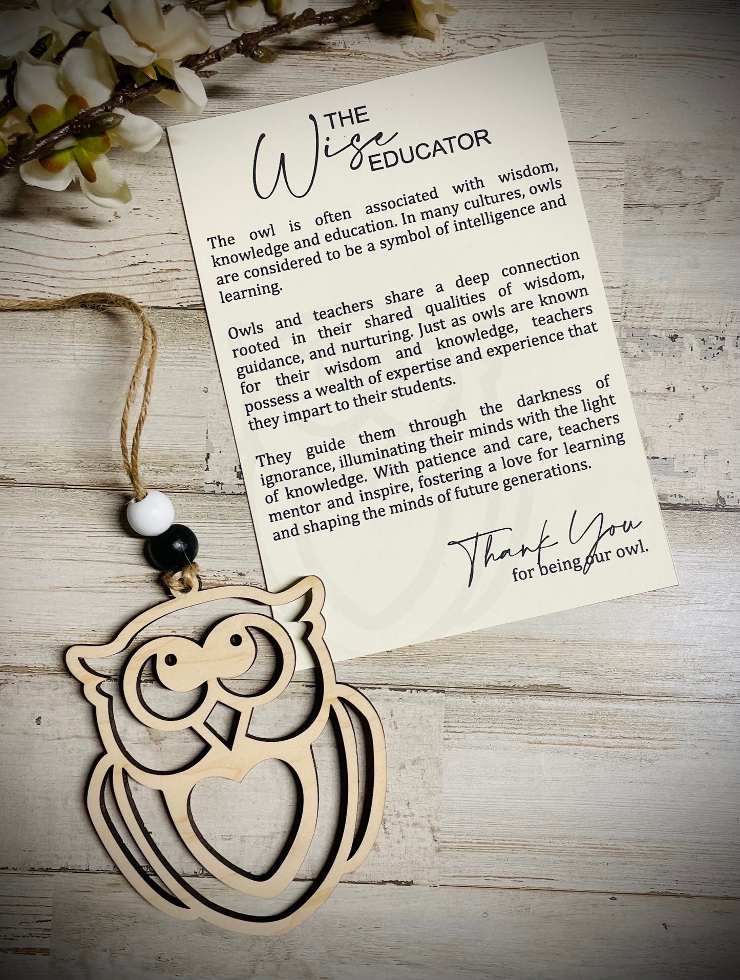 The wise educator owl ornament